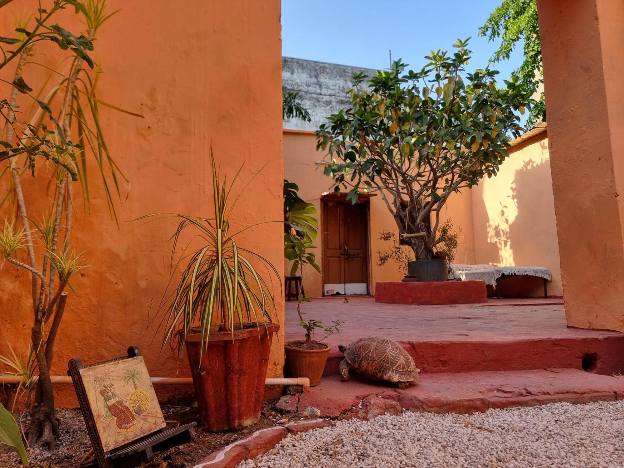 Karavan Kafe Pushkar Ngoại thất bức ảnh